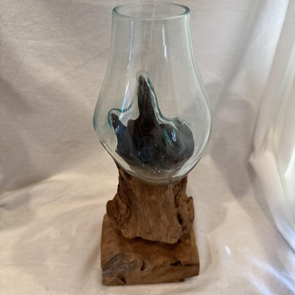 Large Hand Blown Molten Glass Drift Wood Root Sculptured Terrarium Vase Fish 13"